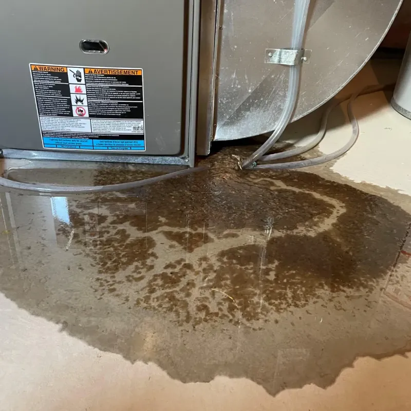 Appliance Leak Cleanup in New Albany, IN