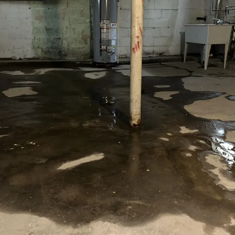 Emergency Water Extraction And Removal in New Albany, IN